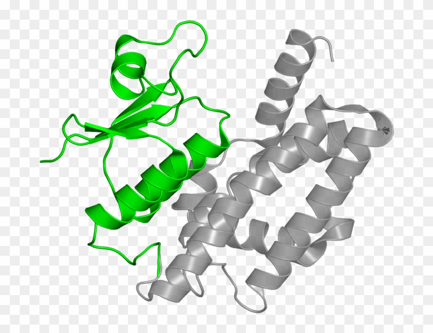 <div Class='caption-body'>1 Copy Of Cath Domain Clipart