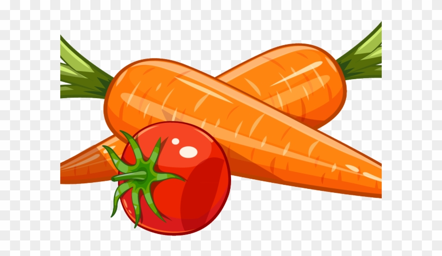 Carrot Clipart Sketch - Png Download