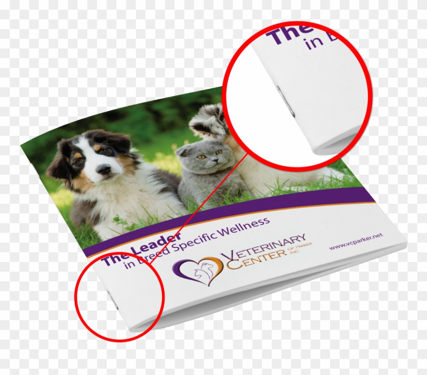 What Is Saddle Stitch Clipart