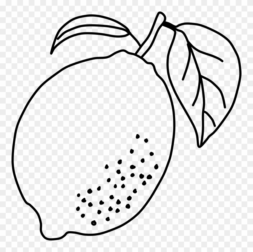 Drawing Lemons Coloring Clipart