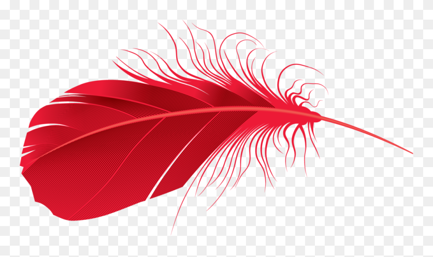 Feather Png, Download Png Image With Transparent Background, Clipart