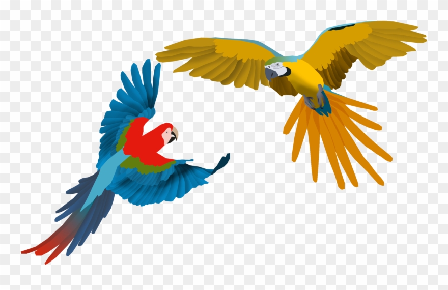 Macaw Clipart Flying - Png Download