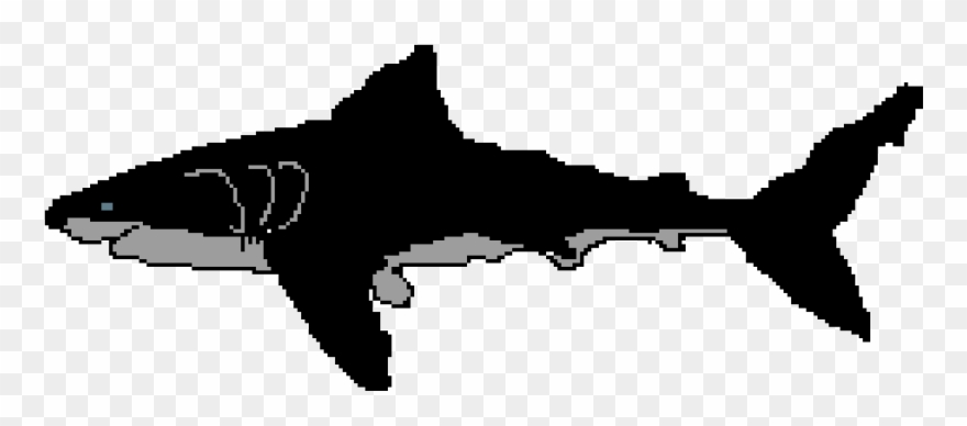Great White Shark Clipart