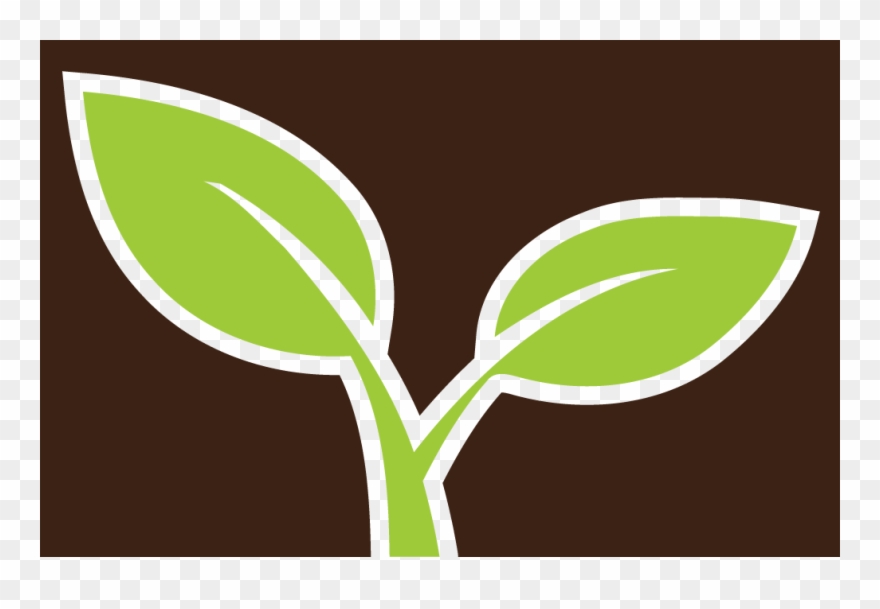 Almond Marketing Clipart