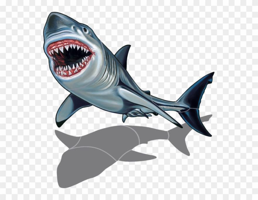 Porc-sk36/sh 32"x25" Shark With Shadow Porcelain Pool Clipart
