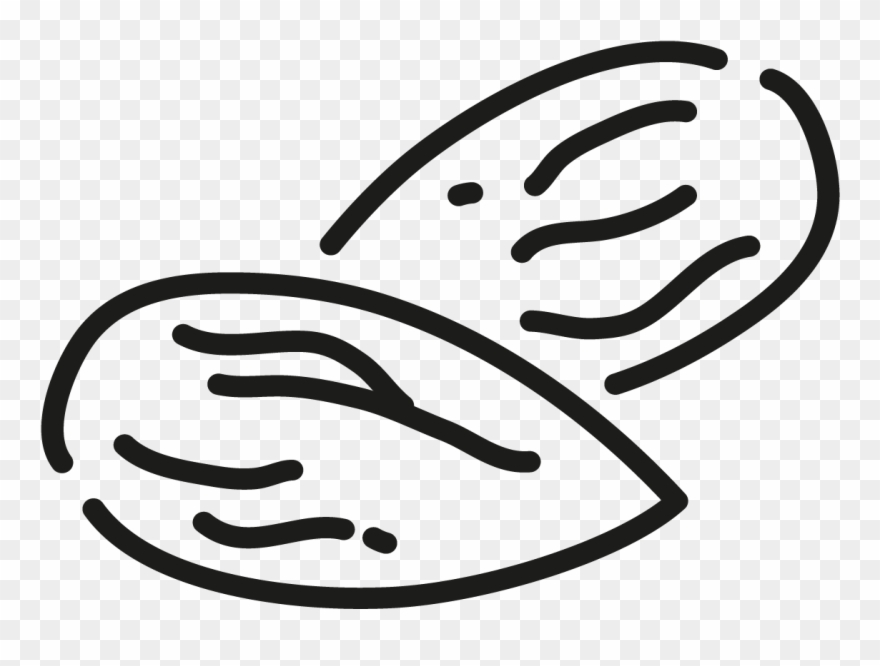 Sweet Almond Oil Clipart