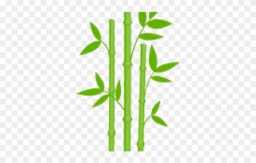 Bamboo Clipart Transparent Background - Png Download