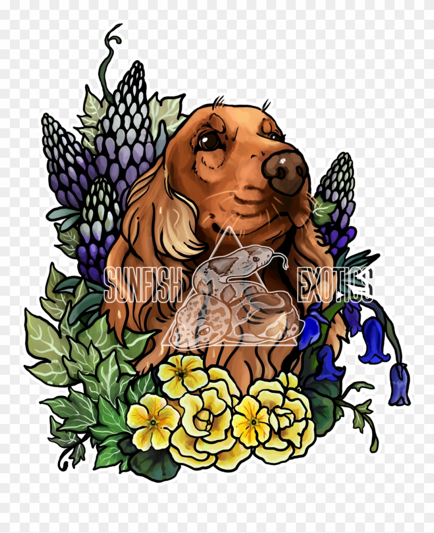 A Commission For A Client Of Their English Cocker Spaniel Clipart