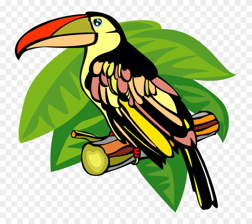 Vector Illustration Of Toucan Bird With Large Beak Clipart