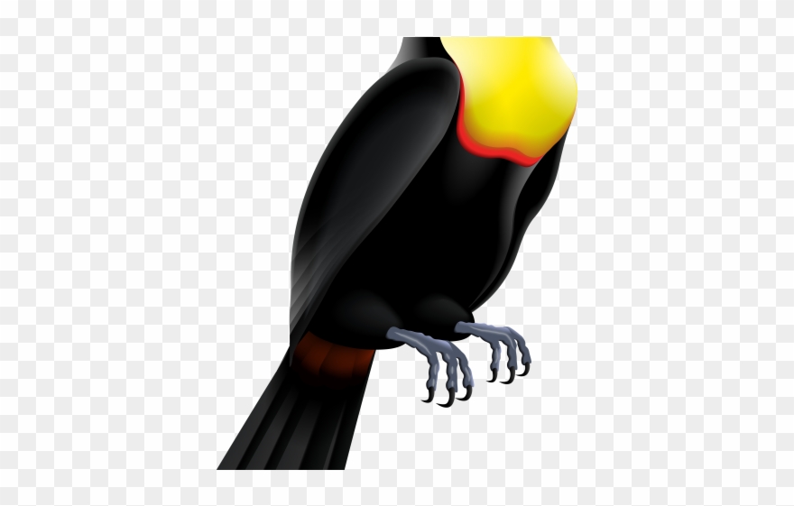 Toucan Clipart - Png Download