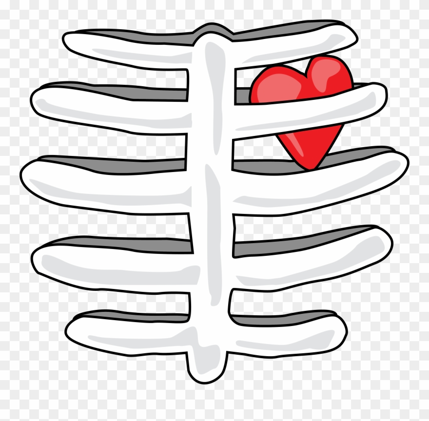 Rib Cage With Heart T-shirt Find This At Digitaltshirtshop Clipart