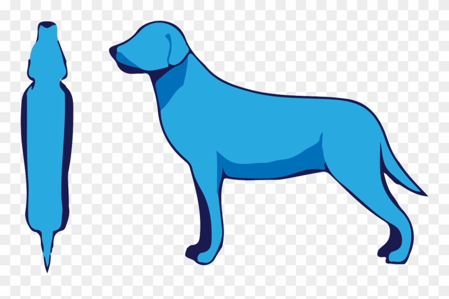 Pet Pet Pet Pet Pet Pet Pet Clipart