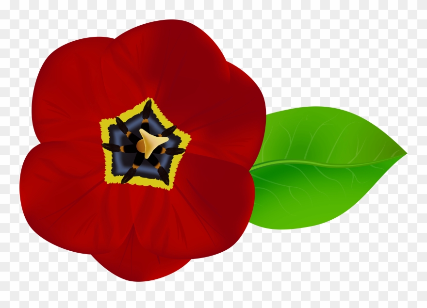 Red Flower Png Image Gallery Yopriceville High Quality Clipart