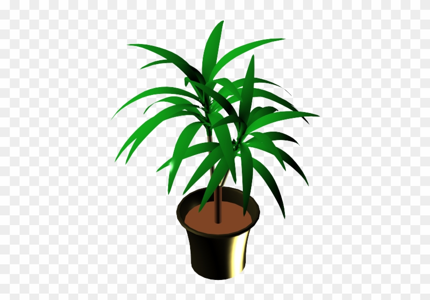 Potted Plant - Close Clipart