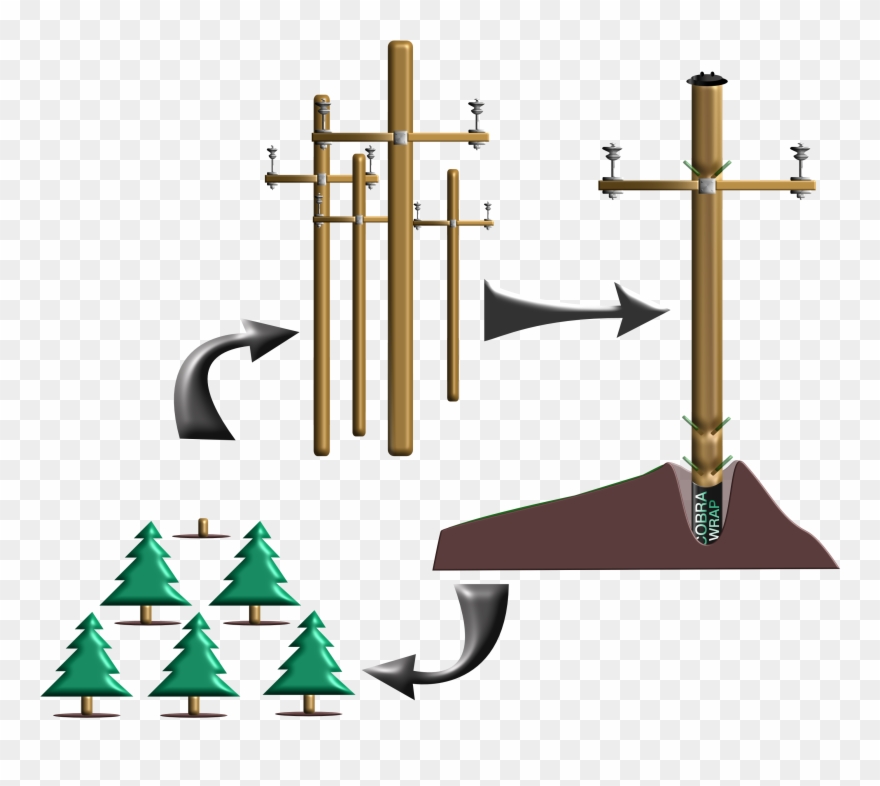 Throughout Our History, We Have Proven That Preserving Clipart