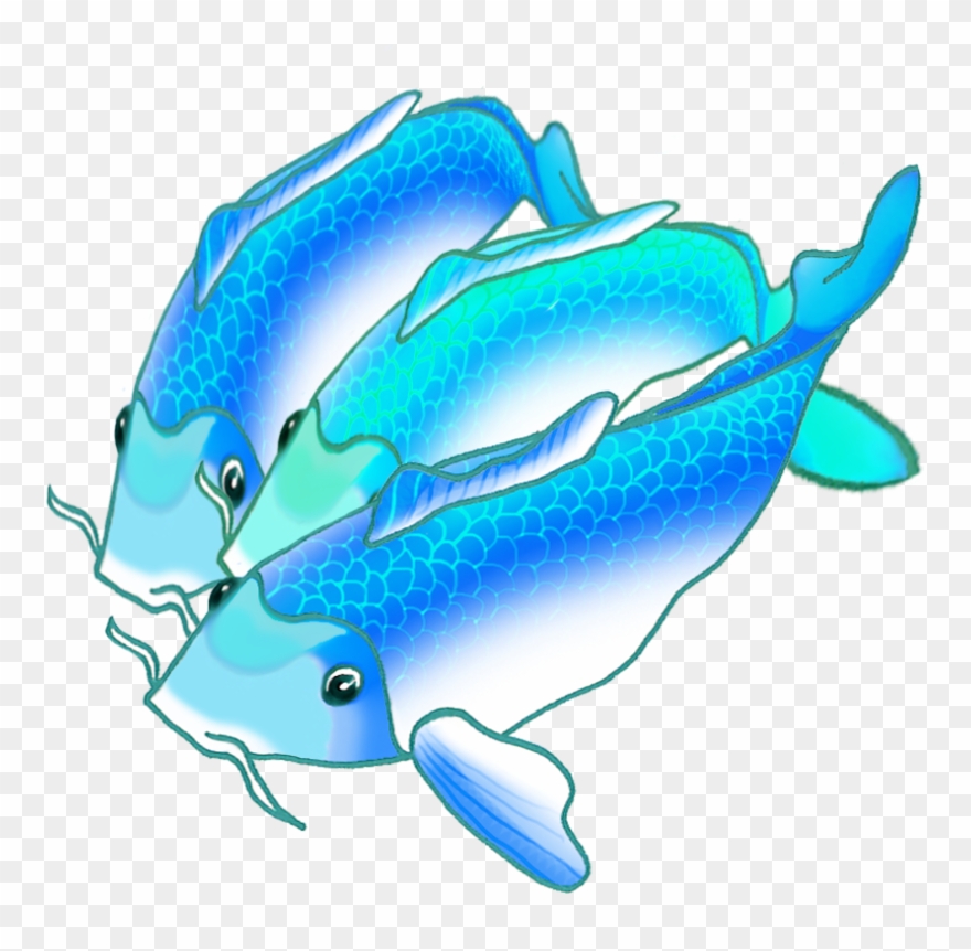 Colorful Koi Fish Draw Clipart