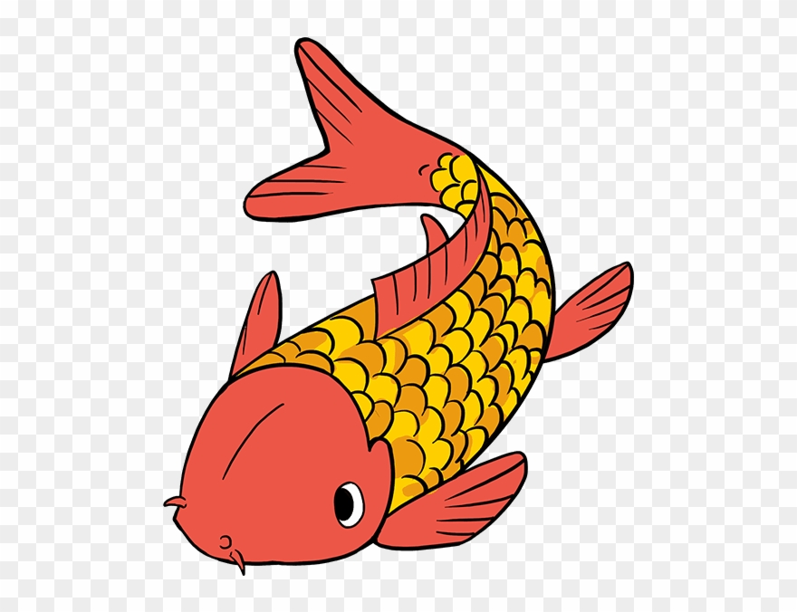 How To Draw Koi Fish Clipart