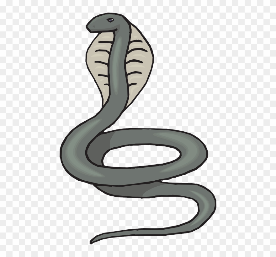 Picture Transparent Download Collection Of Free Cobra Clipart