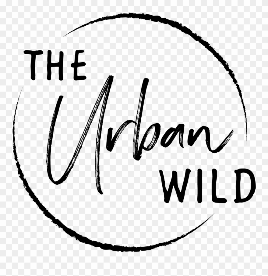 Clipart Black And White Drawing Instagram Urban - Png Download