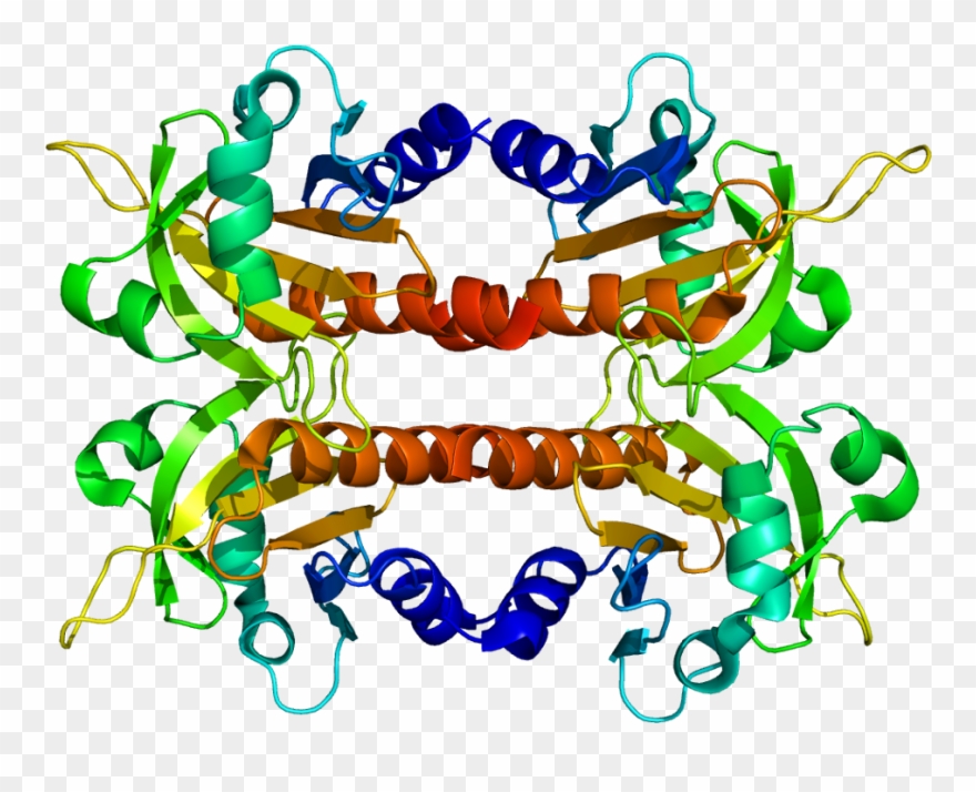 Cytology Clipart - Png Download