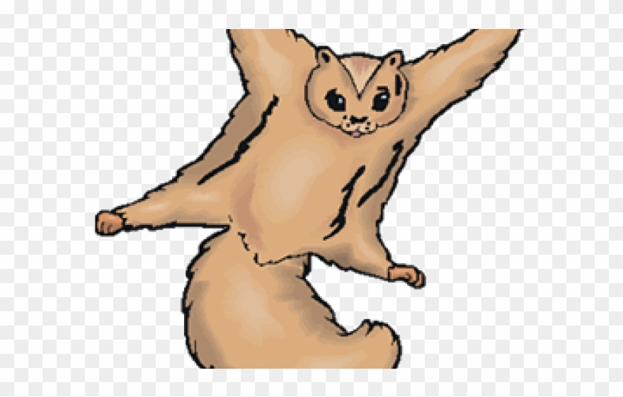Flying Squirrel Clipart Wing - Png Download