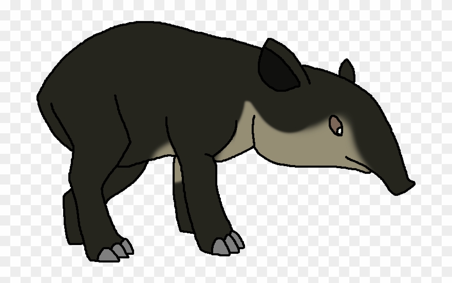 Baird's Tapir , Also Known As The Central American Clipart