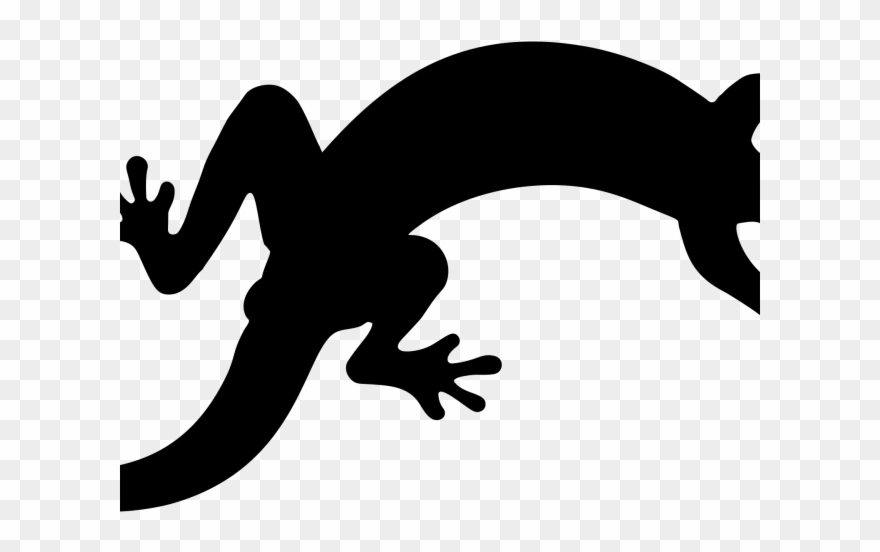 Gecko Clipart Newt - Png Download