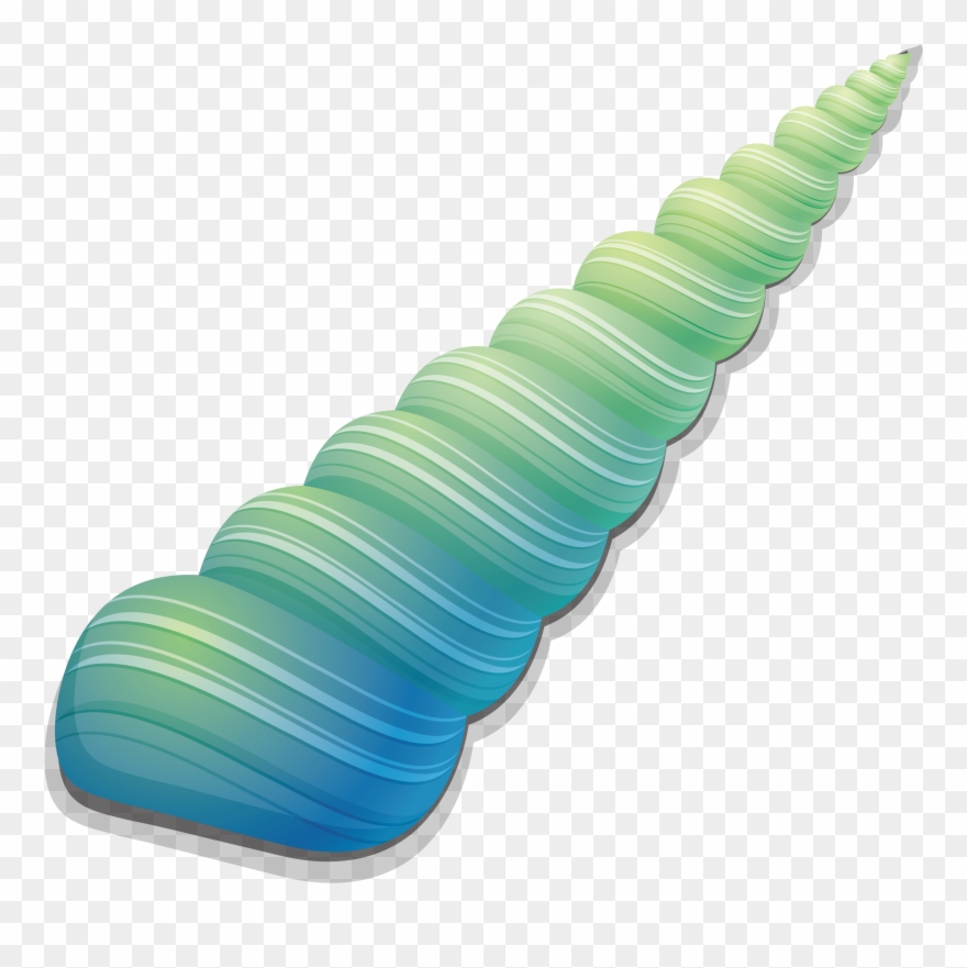 Conch Seashell Clip Art Pattern Transprent Png Ⓒ Transparent Png