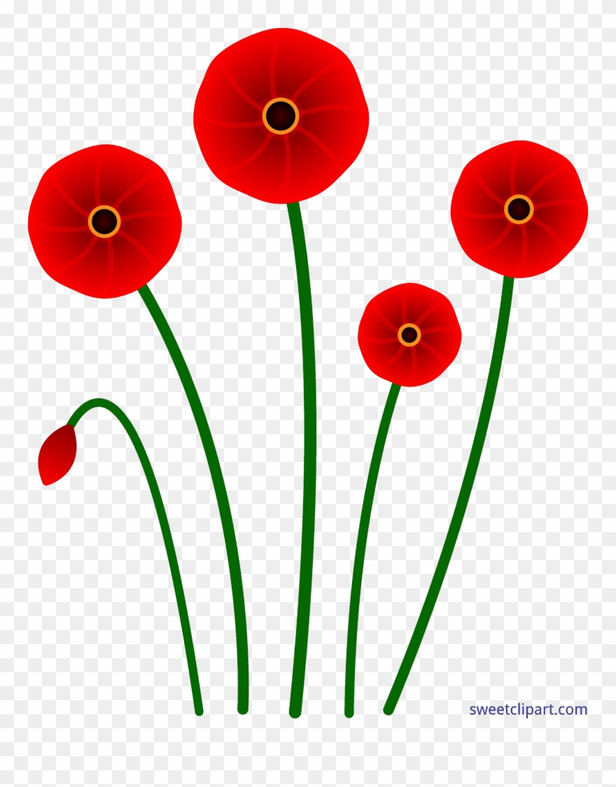 Poppies Red Clip Art Sweet - Png Download