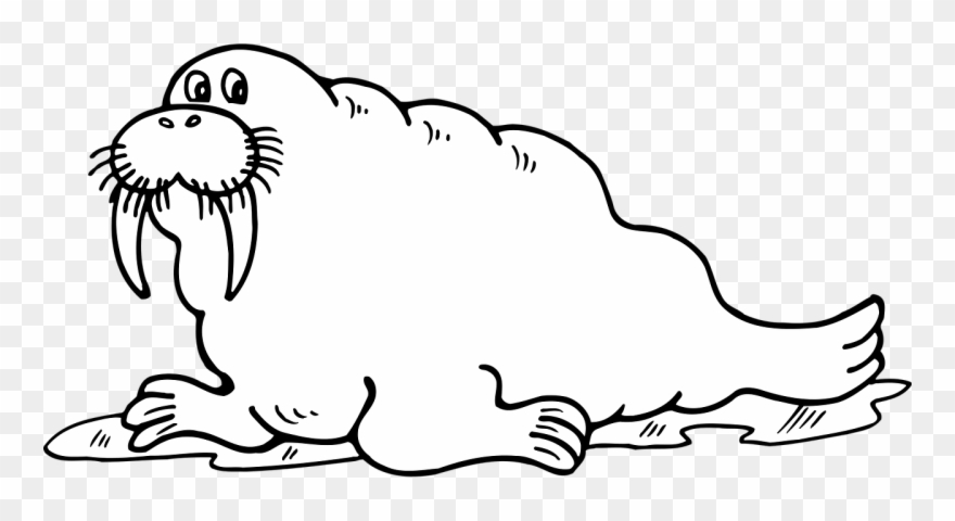 Walrus,odobenus Vector Graphics Clipart