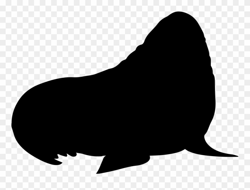Walrus Mammal Silhouette Comments Clipart