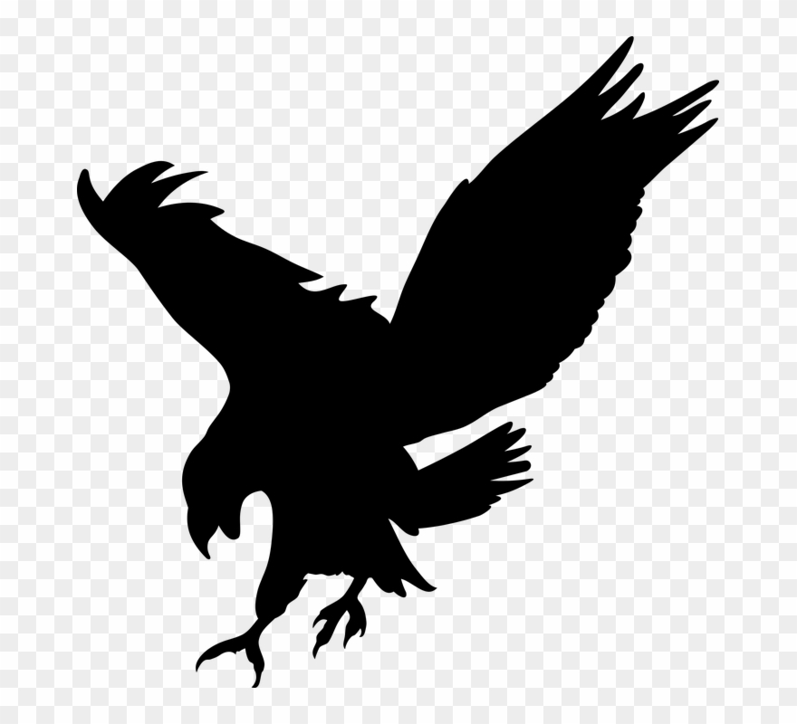 Bird Of Prey Clipart Transparent - Png Download
