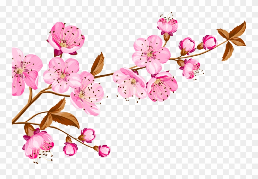 Download Cherry Blossoms Clip Art - Png Download (#2946594) - PinClipart