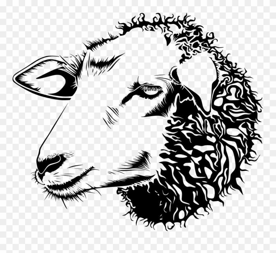 Info Clipart