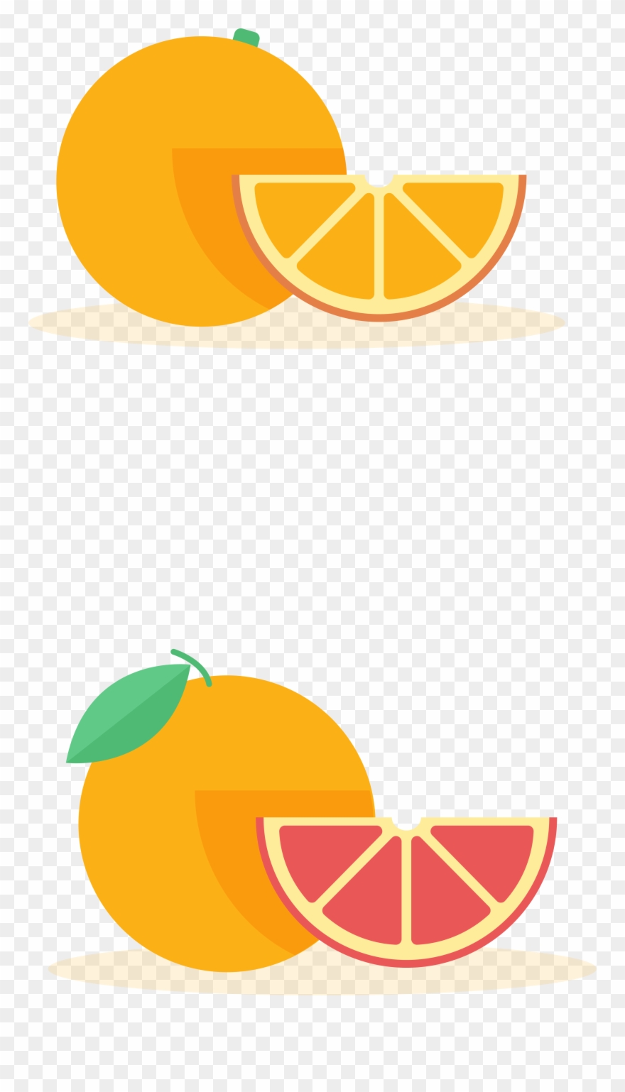 Orange Grapefruit Cartoon Pomelo Clip Art - Png Download