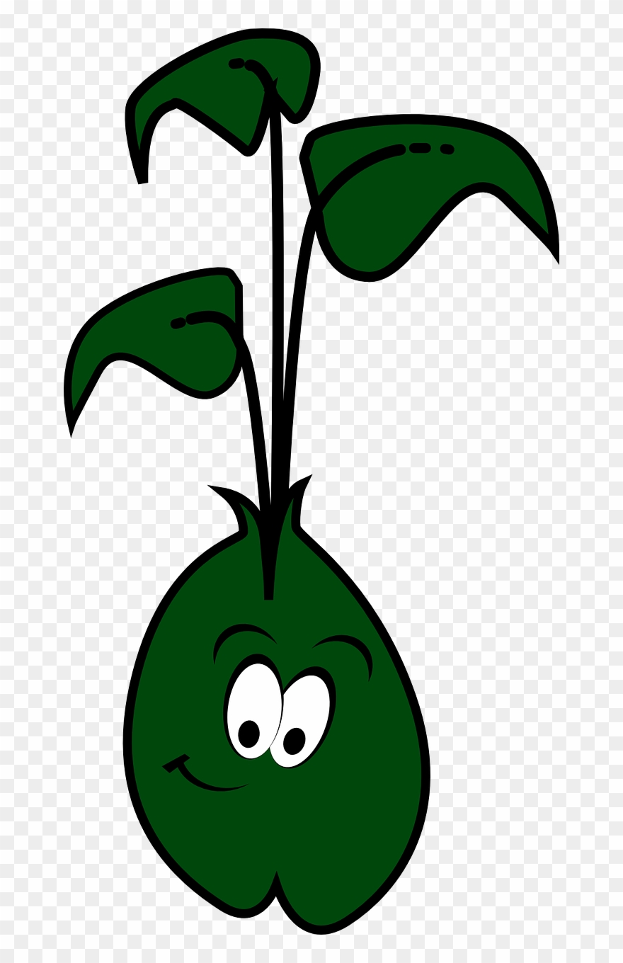 Plant Sprout Clipart - Png Download
