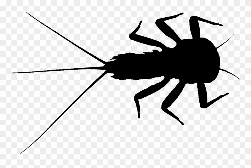 Altermatt Lab On Twitter Clipart