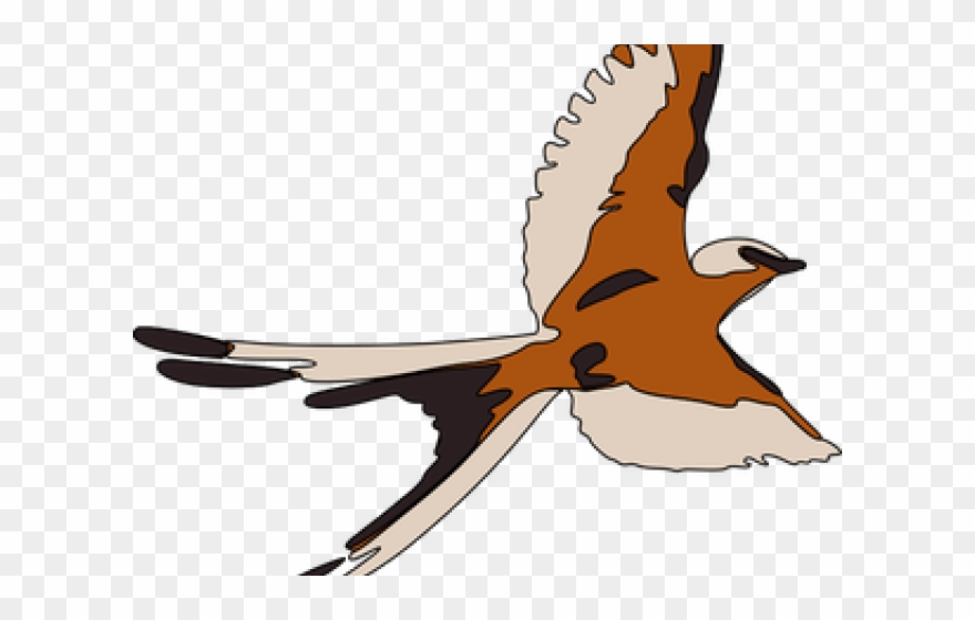 Seagull Clipart 3 Bird - Png Download