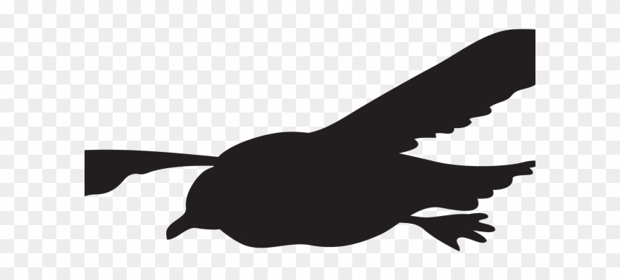 Seagull Clipart Transparent Background - Png Download