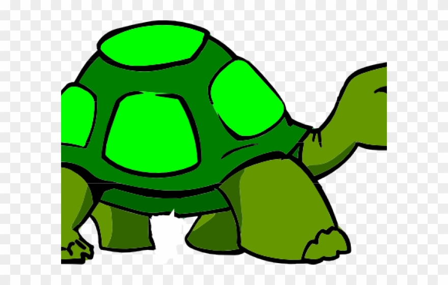 Body Clipart Turtle - Png Download