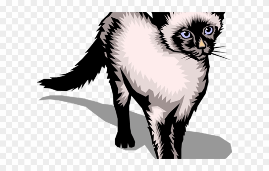Tuxedo Cat Clipart Siamese - Png Download