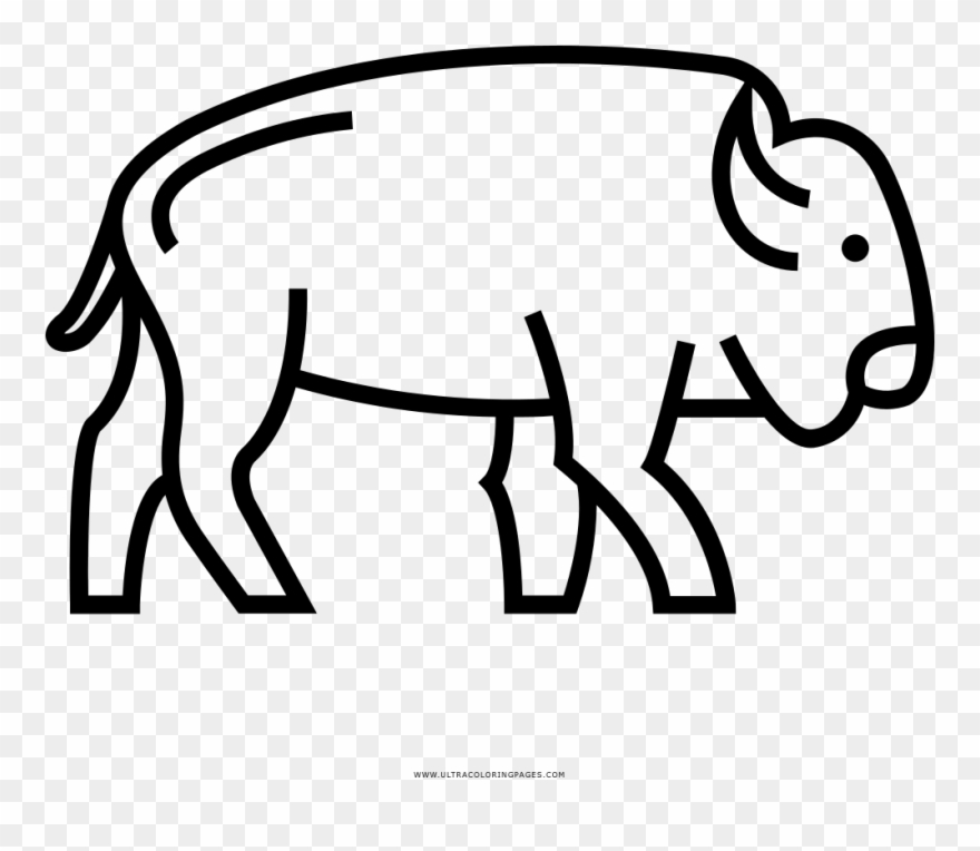 Buffalo Coloring Page With Ultra Pages Clipart