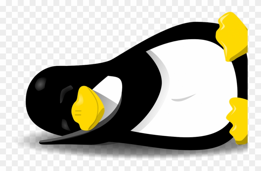 Elegant 0-day Unicorn Underscores “serious Concerns” Clipart