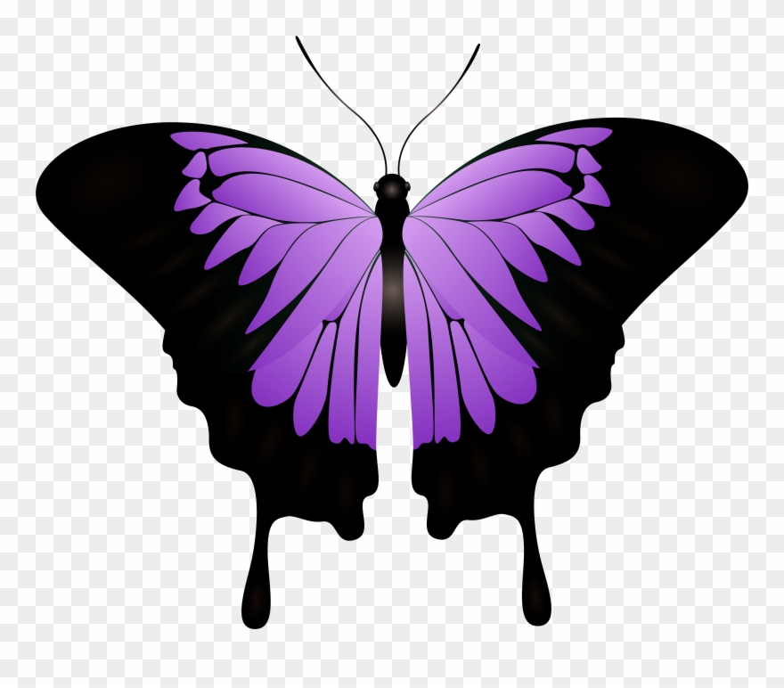 Free Png Download Purple Butterfly Decorative Transparent Clipart