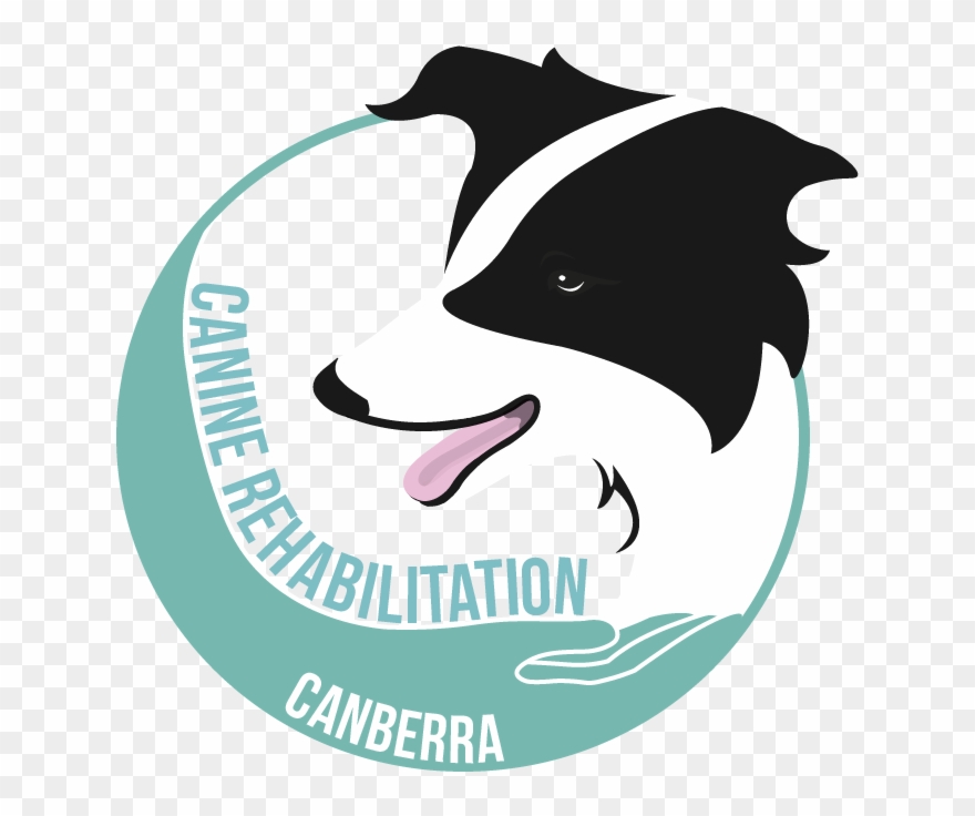 Elegant, Playful, Business Logo Design For Canine Rehabilitation Clipart