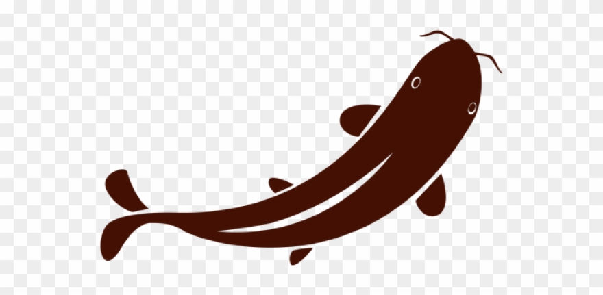 Koi Clipart Transparent - Png Download