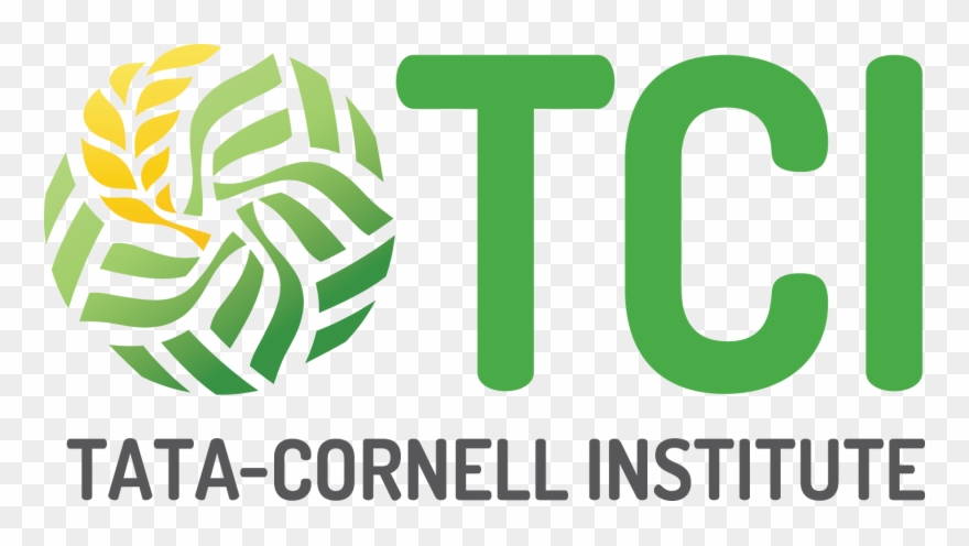 Cornell Academic Calendar Clipart