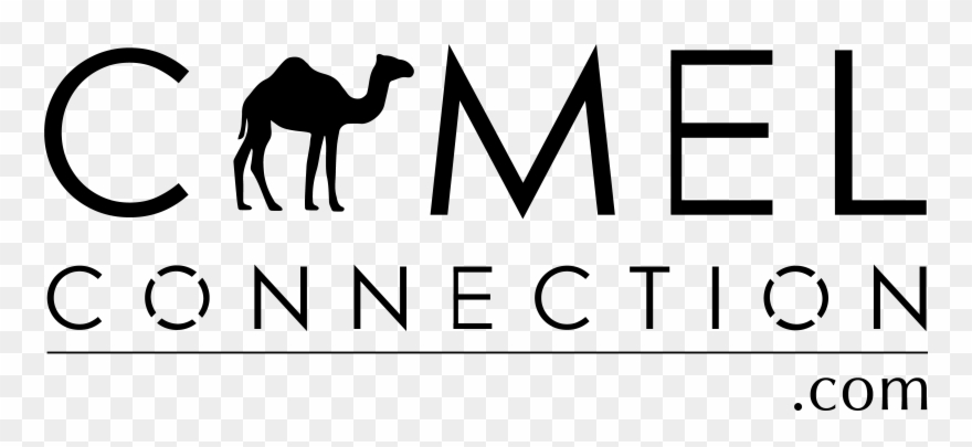 Australian Camels Australian Camels Clipart