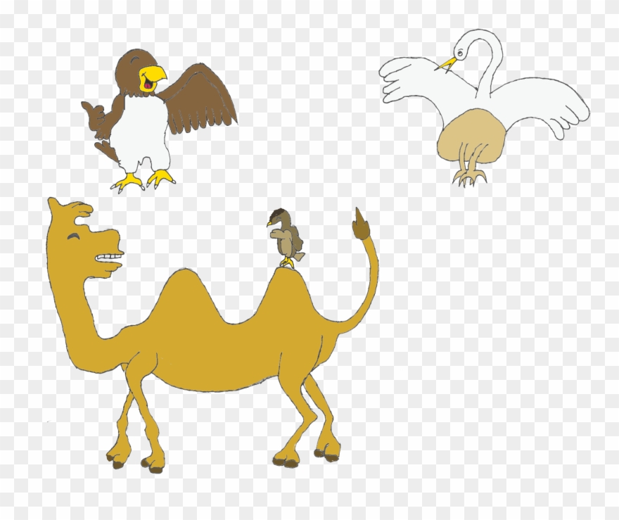 Swift's Not Too Far From The Next Location Clipart