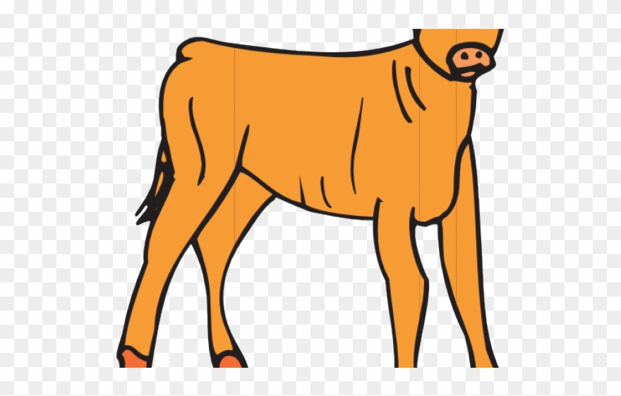 Calf Cliparts - Png Download